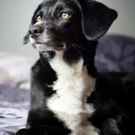 Mein Name ist Mona