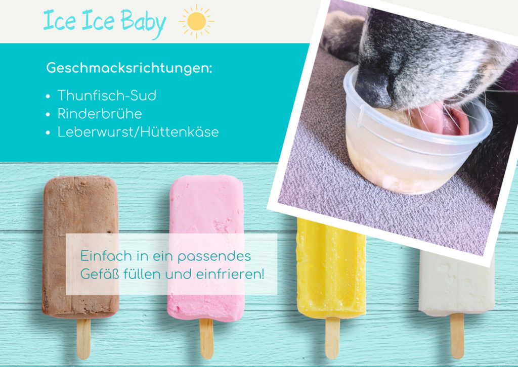 Cool durch den Sommer