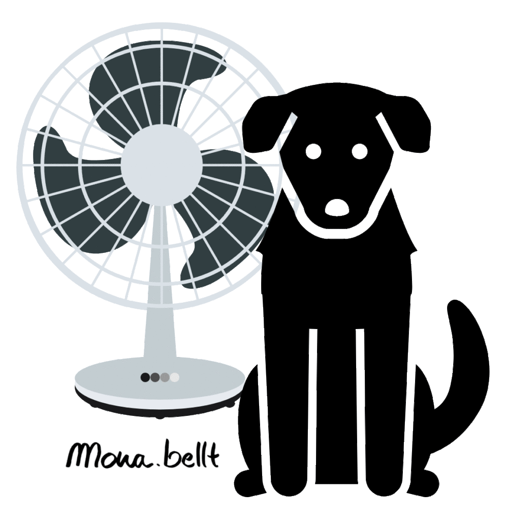 Die meisten Hunde vertragen keinen Zug