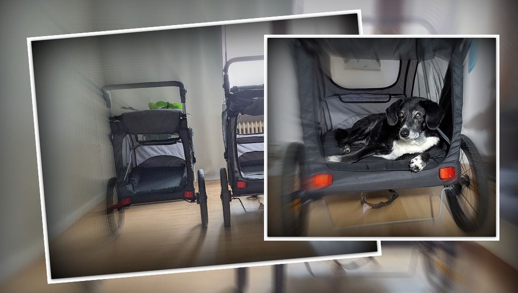Mobil bleiben mit einem Fahrradanhänger für Mona