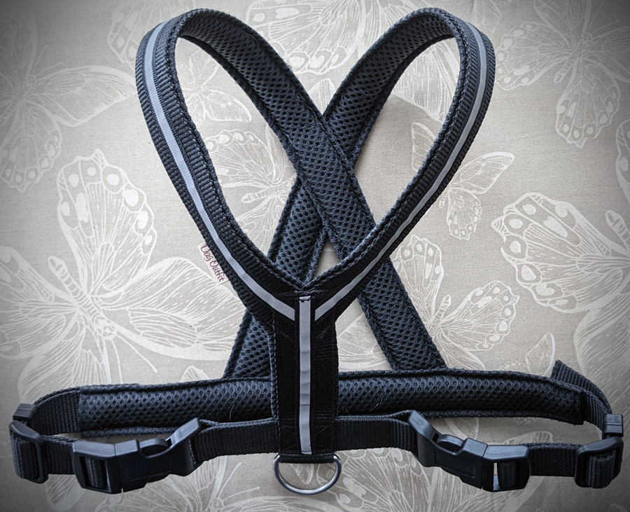 X-Geschirr für Mona